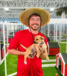 MrBeast Jimmy Donaldson wearing a straw hat holding a rescue puppy at a dog shelter challenge